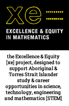Excellence and Equity Project