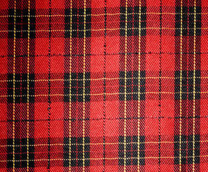 A typical Scottish tartan, making squares and rectangles of various colours.