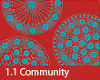 1.1 Community 