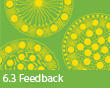 6.3 Feedback